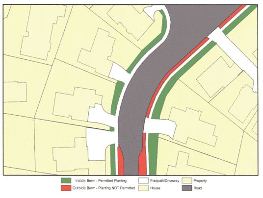 Roadway Berm Planting